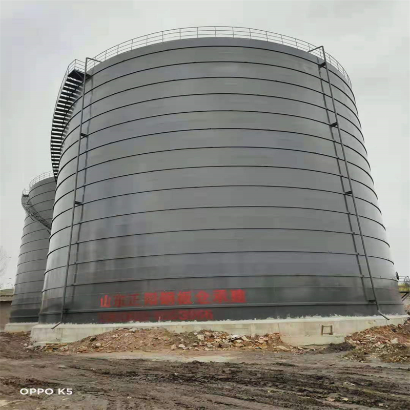 桦南3万吨大型钢板库