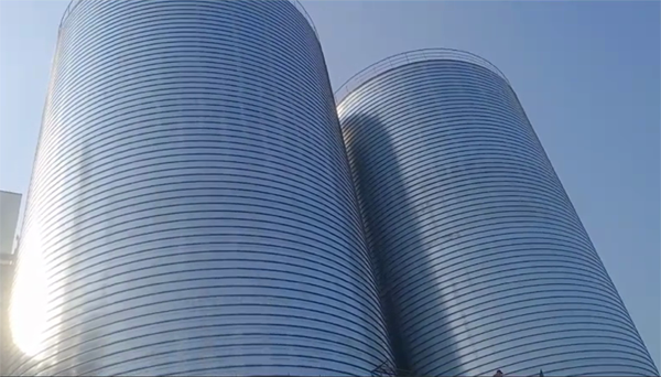 桦南2座混凝土高架卷板仓